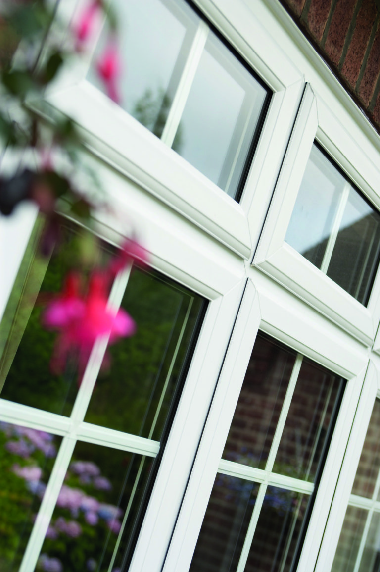 Georgian park home windows